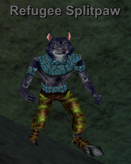 Refugee Splitpaw