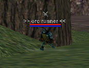 orc runner