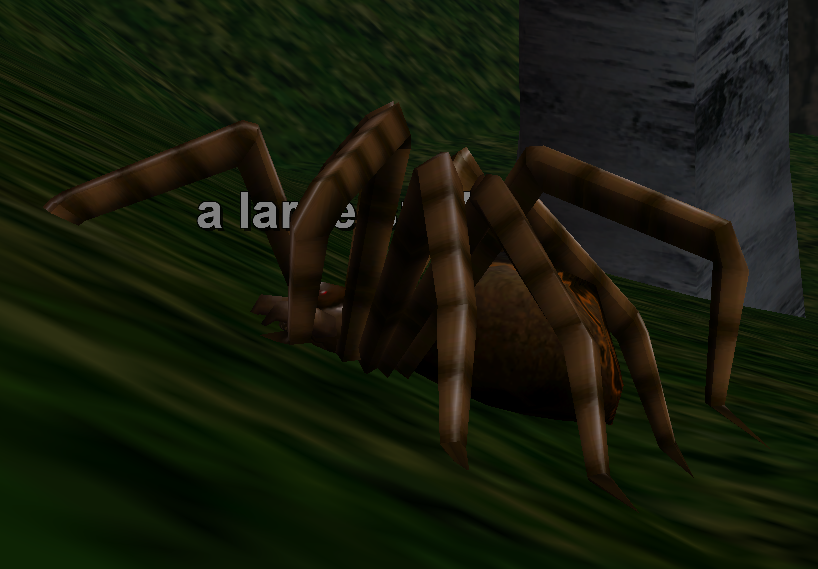 a large spider