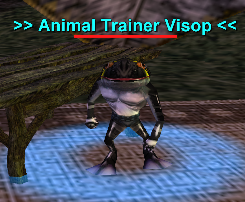 Animal Trainer Visop