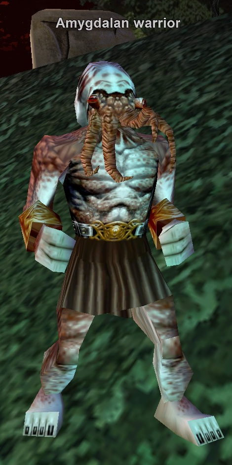 Amygdalan warrior