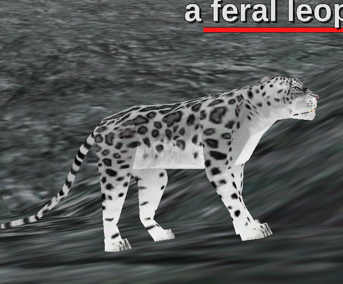 A Feral Leopard