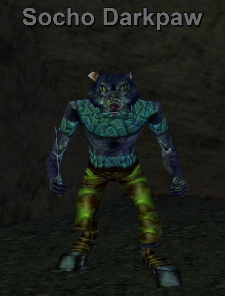 Socho Darkpaw