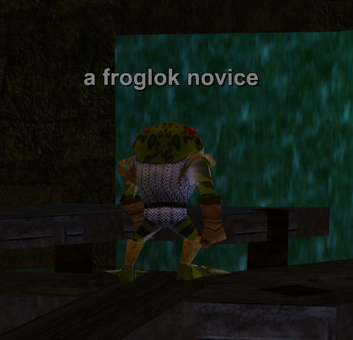 a froglok novice