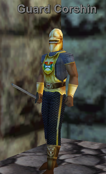 File:Npc guard corshin.png