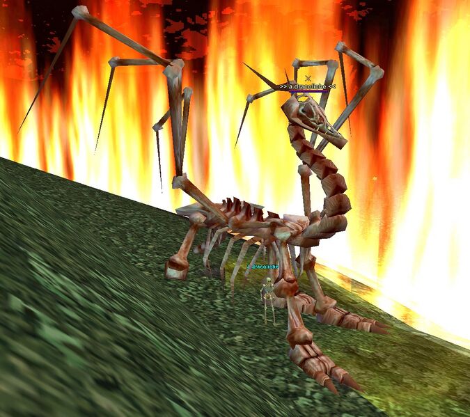 File:Npc dracoliche.jpg