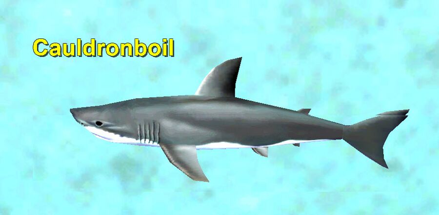 Cauldronboil