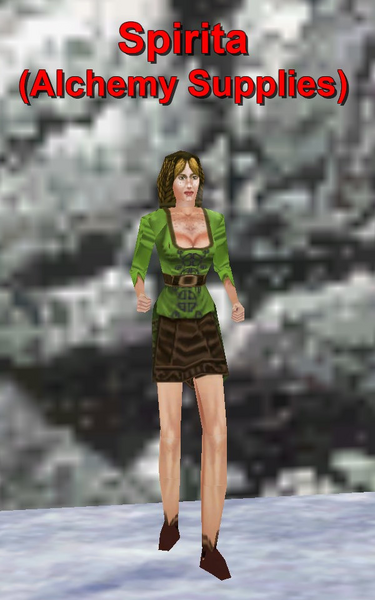 File:Npc spirita.png