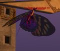 Thumbnail for version as of 16:19, 19 July 2026