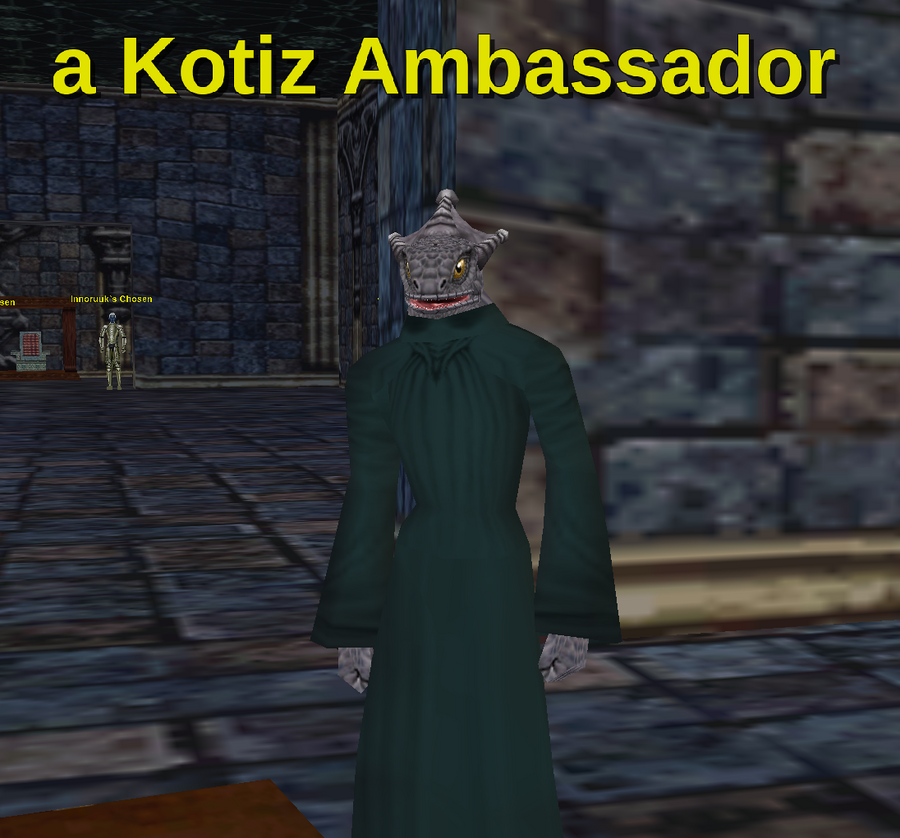 a Kotiz Ambassador