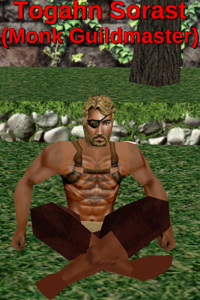 File:Npc togahn sorast.png