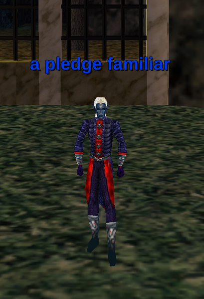 File:Npc a pledge familiar.png