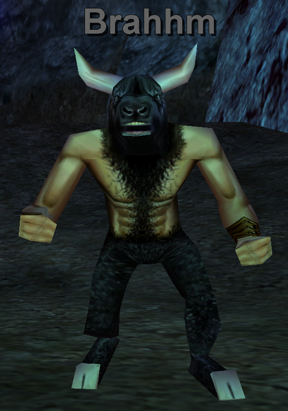 File:Npc brahhm.png