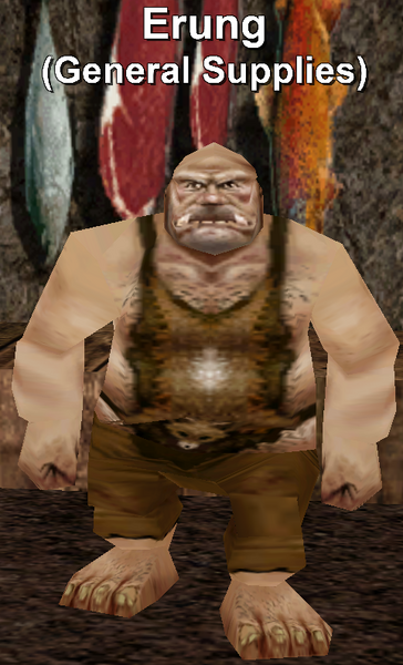 File:Npc erung.png